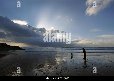 Promenade de chiens sur une plage en hiver Banque D'Images