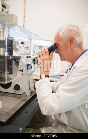 À l'aide de microscope et biochimiste grand ordinateur Banque D'Images