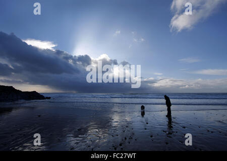 Promenade de chiens sur une plage en hiver Banque D'Images