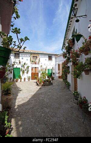 Carré avec de jolies fleurs en pots sur les murs de maison dans le quartier Barrio la Villa de Priego de Córdoba, Cordoue, Espagne, Province. Banque D'Images