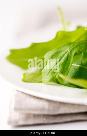 Feuilles de roquette fraîche Banque D'Images