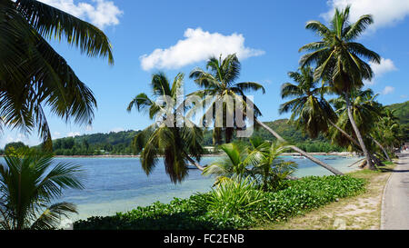 Anse Takamaka sur Praslin Island Banque D'Images