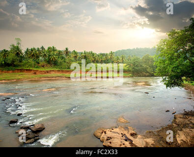 Dans la rivière de la jungle Sri Lanka au coucher du soleil Banque D'Images