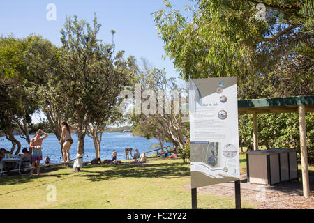 Lake Ainsworth, lac d'eau douce de Lennox Head sur la côte de Nouvelle-Galles du Sud, Australie Banque D'Images