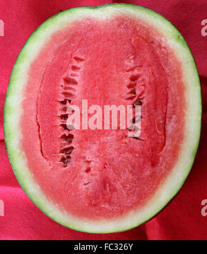 Citrullus lanatus, pastèque, coupés, fruits d'été populaires avec la peau tachetée rouge chair tendre et juteuse, les graines noires, Banque D'Images