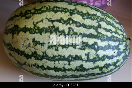 Citrullus lanatus, pastèque, fruit d'été populaires avec la peau tachetée rouge chair tendre et juteuse, les graines noires, fruits rafraîchissante Banque D'Images