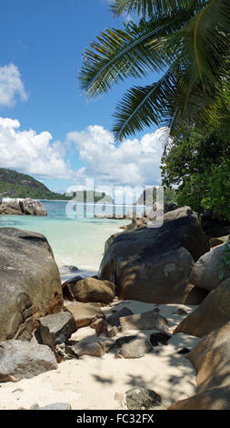 Les roches de granit et de palmiers sur l'île de Mahé Banque D'Images