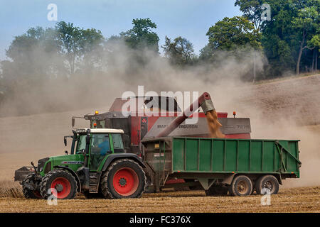 Moissonneuse-batteuse au travail Berkshire UK Banque D'Images