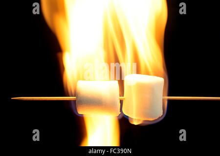 Marshmallow sur un bâton de bois dans le feu. Banque D'Images