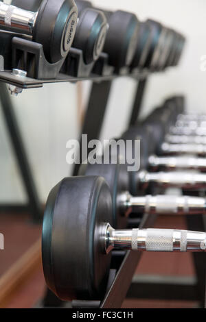 Les haltères dans la salle de sport durée Banque D'Images