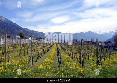 Grisons suisse Banque D'Images