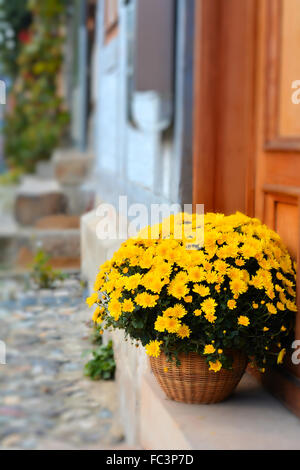 Fleurs en face d'une porte Banque D'Images