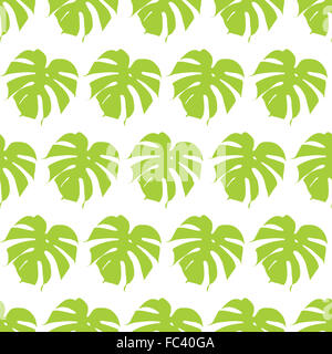 Silhouettes Monstera. transparente Vector illustration. Les feuilles tropicales. Banque D'Images