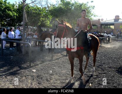 La Caleta, Costa Adeje, Tenerife. Le 20 janvier, 2016. Homme à cheval au Festival de San Sebastian Ð La Caleta, Costa Adeje, Tenerife Crédit : Dorset Media Service/Alamy Live News Banque D'Images