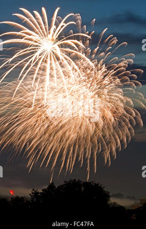 Quatrième de juillet d'artifice dans la région de Boise, Idaho, USA. Banque D'Images