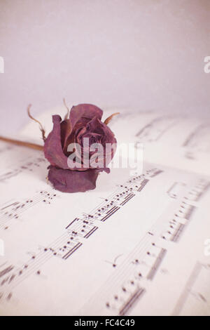 Lensbaby photographie de rose rouge sur la musique de livre ouvert Banque D'Images