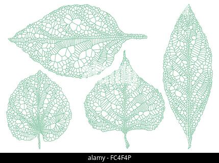 Veine verte feuilles, illustration dessinée à la main, vector set Illustration de Vecteur