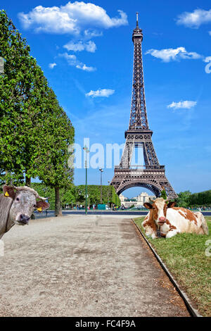 Les vaches sous la Tour Eiffel Banque D'Images