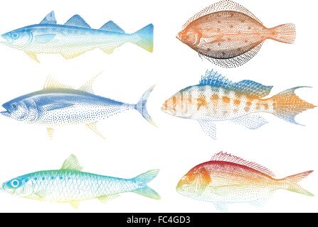 Jeu de poissons de mer, vector illustration Illustration de Vecteur