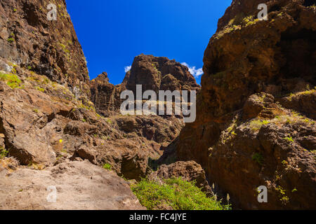 Célèbre canyon Masca à Tenerife - Canary Banque D'Images