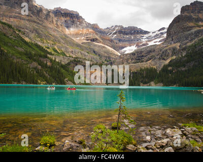 Faible angle de vue de belle, la lac O'hara, avec sept voiles tombe dans les arbres, dans le parc national Yoho Banque D'Images