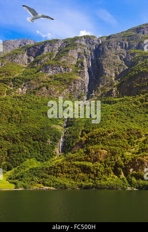 Cascade dans le fjord de Sogn - Norvège Banque D'Images