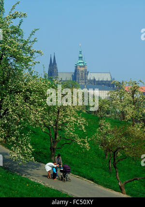 Famille dans le passage libre entre les pommiers en fleurs sur la colline de Petrin, à Prague avec la Cathédrale St Vitu et Hradcany Castle Banque D'Images