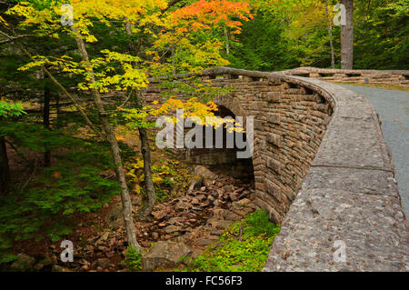 Amphithéâtre amphithéâtre pont, Route de boucle, l'Acadia National Park, Maine, USA Banque D'Images