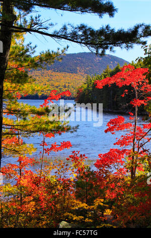 Eagle Lake, l'Acadia National Park, Maine, USA Banque D'Images