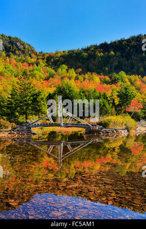 Passerelle, Jordan Pond Shore Trail, l'Acadia National Park, Maine, USA Banque D'Images