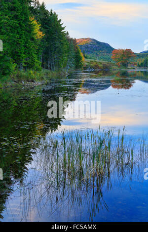 Peu Long étang, peu Long Pond Road Transport Boucle, l'Acadia National Park, Mount Desert Island, Maine, USA Banque D'Images