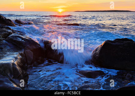 Le lever du soleil, Blueberry Hill, la péninsule de Schoodic, Acadia National Park, Maine, USA Banque D'Images