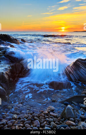 Le lever du soleil, Blueberry Hill, la péninsule de Schoodic, Acadia National Park, Maine, USA Banque D'Images