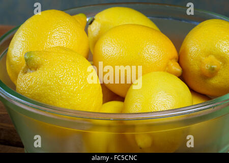 Les citrons dans une plaque de verre close up Banque D'Images