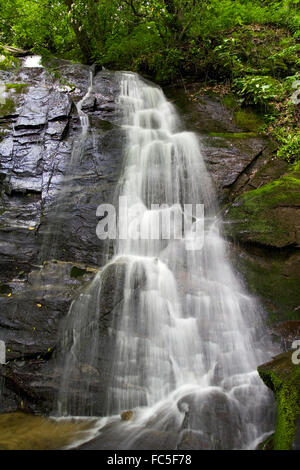 Whank Juney tombe dans le Great Smoky Mountains National Park, North Carolina, USA. Banque D'Images