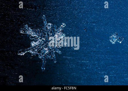 Flocons de fusion dans un faisceau de lumière Banque D'Images