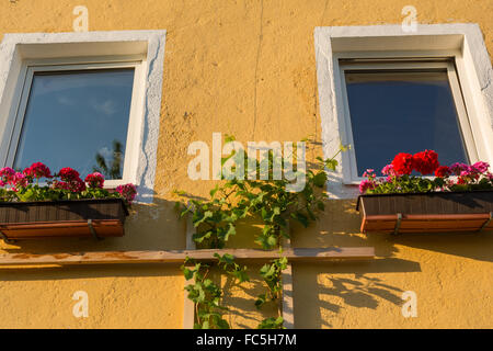 Fenêtre avec géraniums dans les boîtes à fleurs Banque D'Images