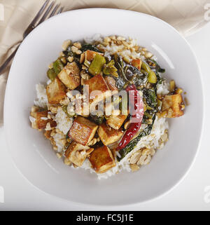 Tofu avec le brocoli chinois et le riz Banque D'Images