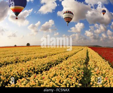 Trois ballons de couleur vole Banque D'Images