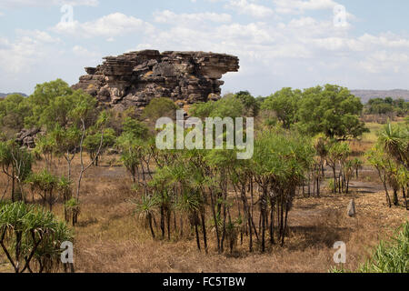 Des affleurements rocheux dans un mélange de savane et de forêts sclérophylles sèches de l'habitat, le Parc National de Kakadu, Australie Banque D'Images