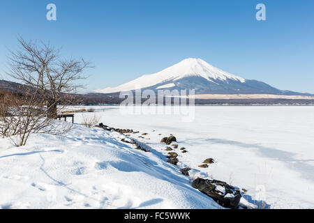 Le Mont Fuji et le lac Yamanaka Banque D'Images