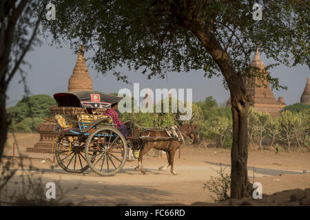 BAGAN MYANMAR ASIE PAGODE TEMPLE TRANSPORTS Banque D'Images