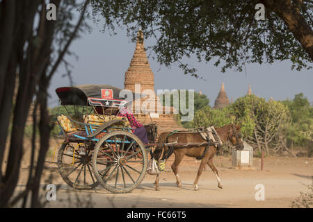 BAGAN MYANMAR ASIE PAGODE TEMPLE TRANSPORTS Banque D'Images