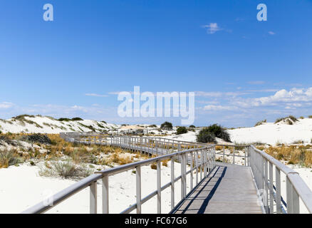 Interdune boardwalk Banque D'Images