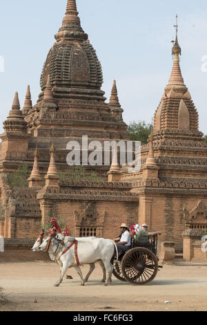 BAGAN MYANMAR ASIE PAGODE TEMPLE TRANSPORTS Banque D'Images