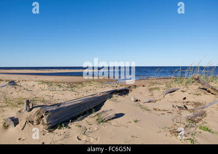 Côte est de la mer blanc Banque D'Images