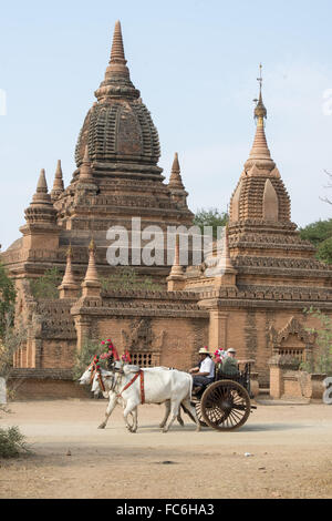 BAGAN MYANMAR ASIE PAGODE TEMPLE TRANSPORTS Banque D'Images