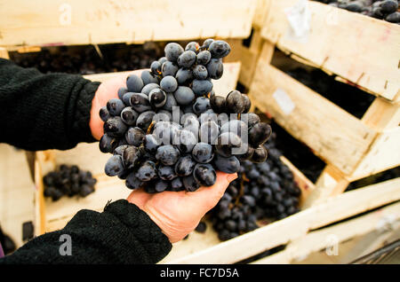 Caucasian woman shopping in grocery store Banque D'Images