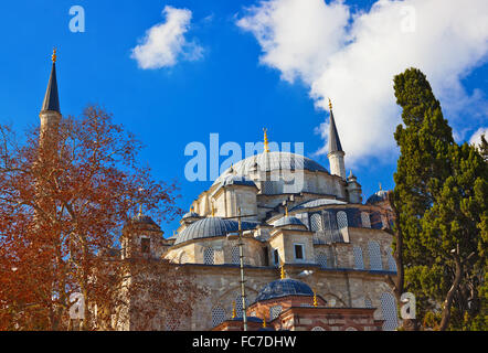 Mosquée de Fatih à Istanbul Turquie Banque D'Images