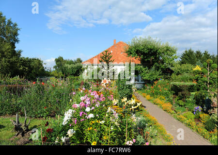 Front yard Banque D'Images